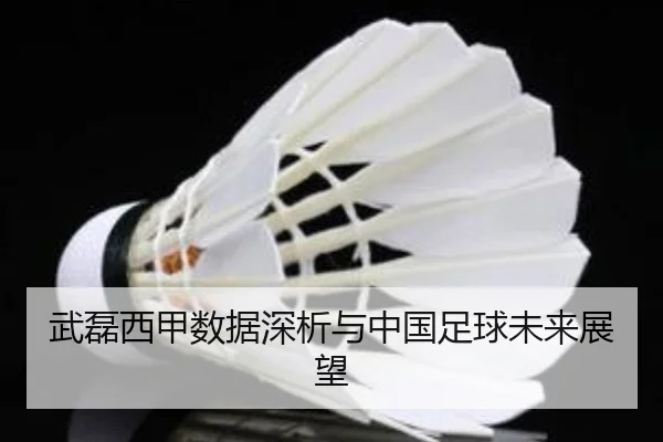 武磊西甲数据深析与中国足球未来展望